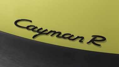 Porsche Cayman R vert logo capot moteur