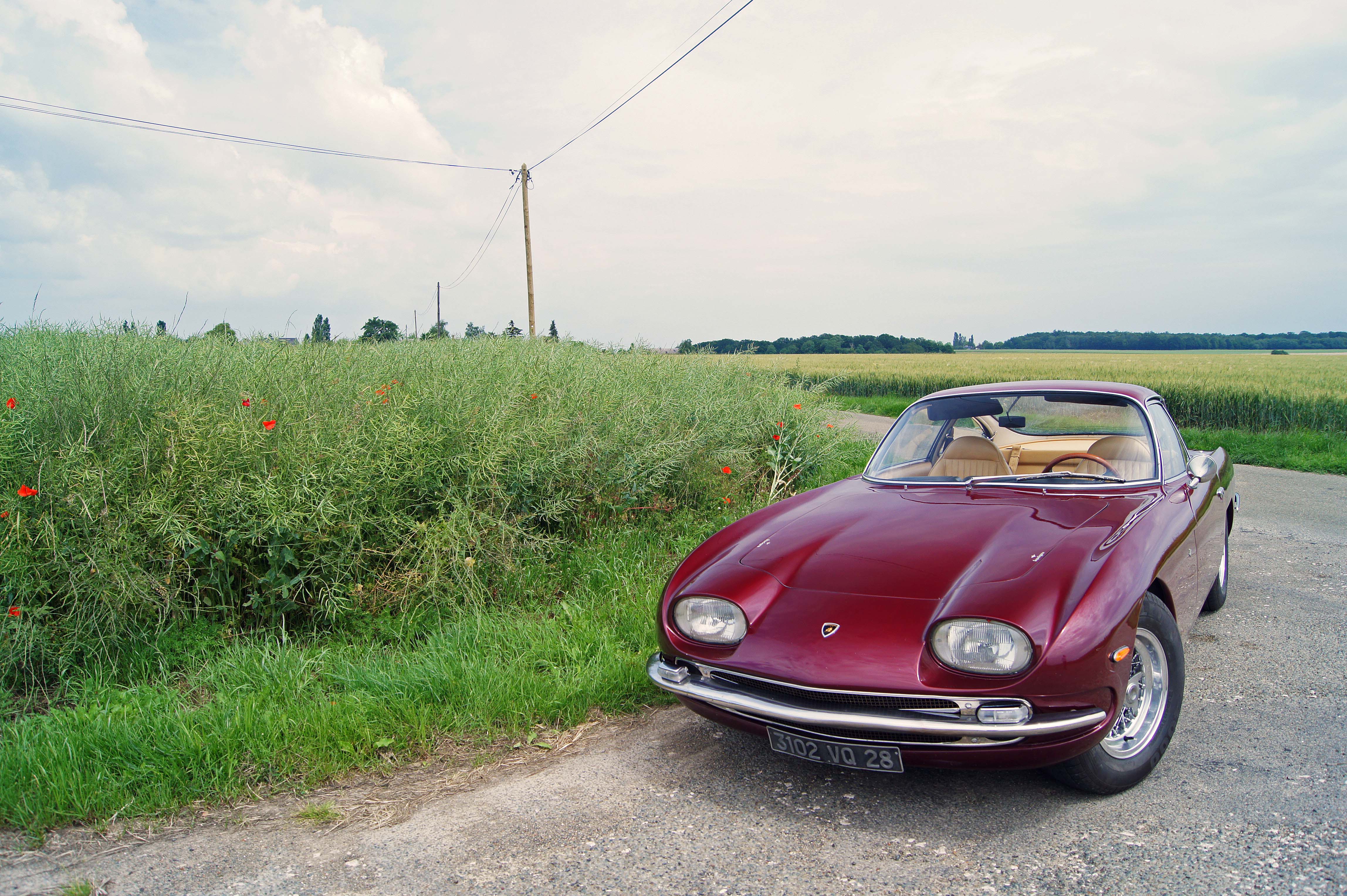 Lamborghini-350-GT-bordeaux-3-