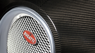Bugatti Veyron Grey Carbon - détail, calandre