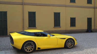 Alfa Romeo TZ3 Stradale jaune profil 3