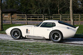 Shelby Daytona Cobra profil