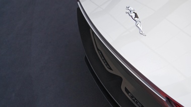 Jaguar C-X75 gris logo arrière