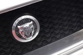 Jaguar C-X75 gris logo calandre