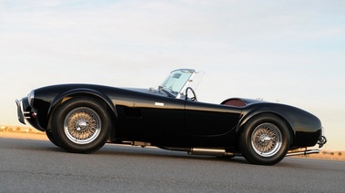 Shelby Cobra Black, profil gch