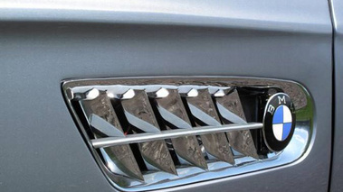 BMW 507 grise détail