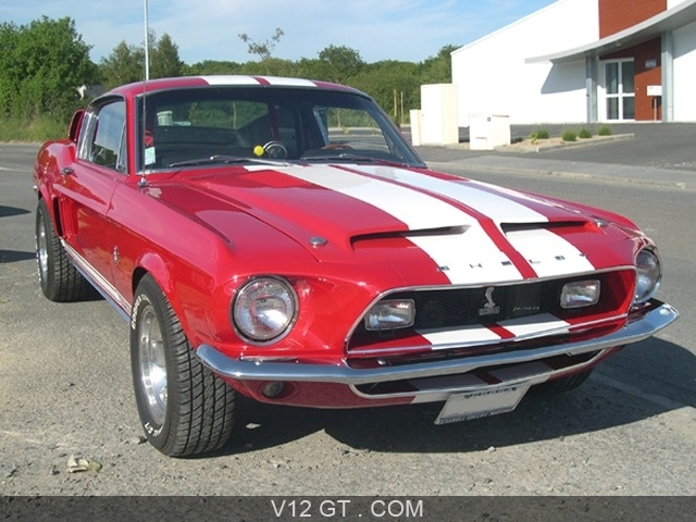 V12 mustang best sale