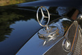 Mercedes 600 LWB noir logos 3