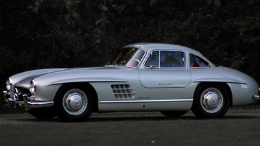 Mercedes Benz 300 SL Argent Profil 