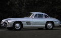 Mercedes Benz 300 SL Argent Profil 