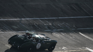 Austin Healey vert 3/4 arrière droit filé penché