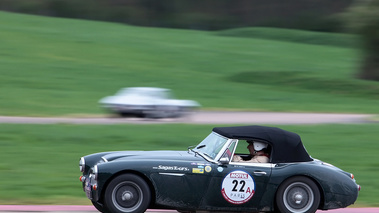 Austin Healey vert filé