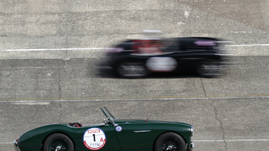 Austin Healey vert profil