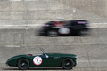 Austin Healey vert profil