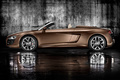 Audi R8 Spyder - marron - profil