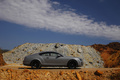 Bentley Continental Supersports gris profil