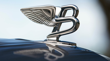 Bentley Mulsanne bleu logo capot