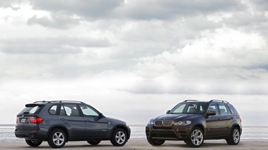 BMW X5 2010 bleu et brun