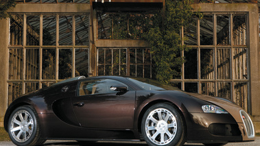 Bugatti Veyron HERMES profil - 3/4 avant droit