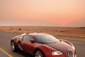 Bugatti Veyron marron/bordeaux 3/4 avant droit debout 2