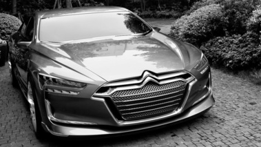 Citroën Metropolis Concept - gris - de face, NB