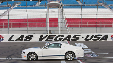 Shelby GT350 - blanc/bleu - profil gauche