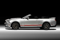 Shelby GT500 Cabriolet gris profil