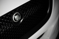 Jaguar XJ Platinum Concept - calandre