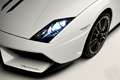 Lamborghini Gallardo LP570-4 Spyder Performante - blanche - détails, phare avant + jante + bouclier