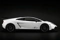 Lamborghini Gallardo SV - blanche- profil