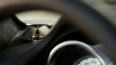 Mercedes SLS AMG marron enceinte