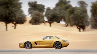 SLS AMG Gold - profil, dynamique