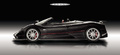 Pagani Zonda F Roadster carbone profil