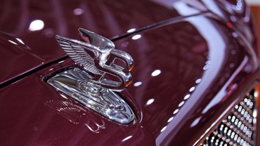 Mondial de l'Automobile Paris 2010 - Bentley Mulsanne violet logo capot 2