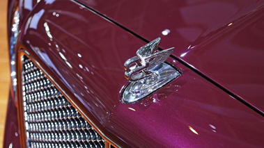 Mondial de l'Automobile Paris 2010 - Bentley Muslanne violet logo capot