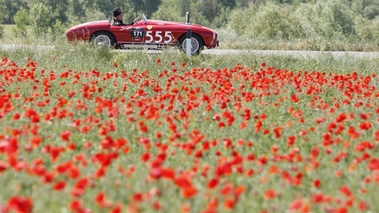 Ferrari 212 Export, action, profil drt