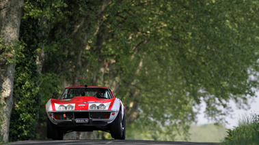 Chevrolet Corvette, rouge+blanc, jump, campagne