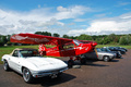 line-up paddock