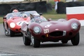 Goodwood Revival 2009 Jaguar Type D