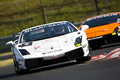 Lamborghini Gallardo LP560-4 SuperTrofeo blanc face avant penché