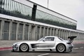 Mercedes SLS AMG GT3 gris profil