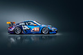Porsche Flying Lizard 81 profil
