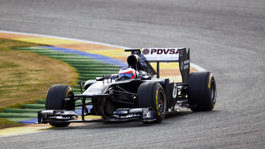 Williams 2011