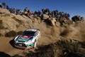 Argentine 2011 Ford rochers