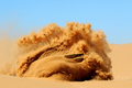 Dakar 2011 VW dans sable