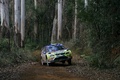 WRC Australie bois