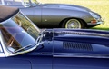 Goodwood Festival Of Speed 2011 - Jaguar Type E Cabriolet bleu capot