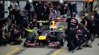 Silverstone 2011 Vettel stands