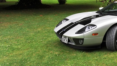 Ford GT Bourgogne Gazon