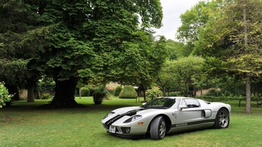 Ford GT Bourgogne Jardin