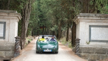 Austin Healey, verte, dos, entrée parc